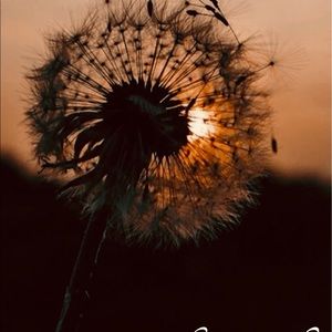 Meet your Posher, Vickie